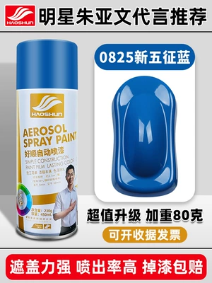 Avtomobil boya qələmləri – Graffiti Home Wooden Paint - haoshun-self-painted-450ml0825-new-wuzheng-blue