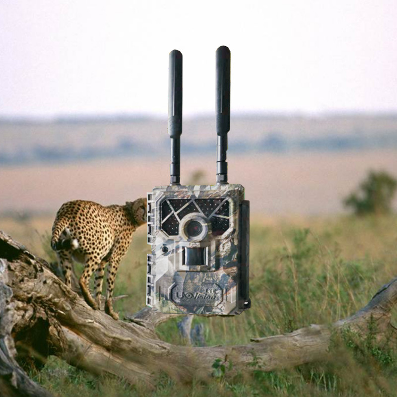 奥斯恩野生动物识别监测预警方案 动物多样性声纹识别AI智能系统