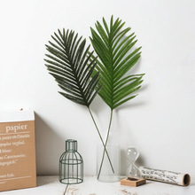 ��̖��֧����ɢβ���~�ӱ����b�ֲ�����Gֲ�쾰�����~�����l