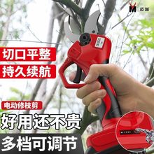 늄Ӽ���������֦�����ʽ�����@�֘�֦���늼��Ӵ�֦��늼�