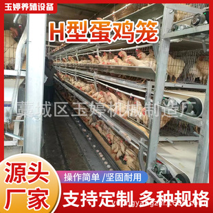 ���u�\H�͟���\�u�\��\�z�u�\�A��ʽ�u�\�S��ֱ���|������H���u