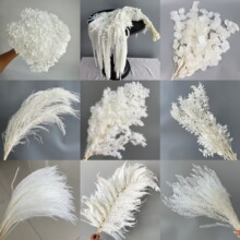 永生白色花婚庆花材干花真花花束跨境婚礼装饰花艺插花永生花批发