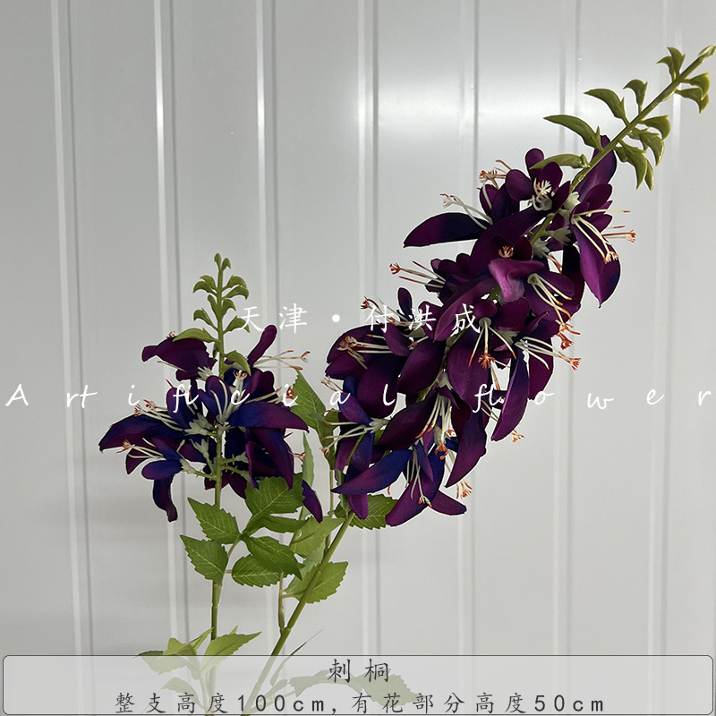 가시나무-보라색