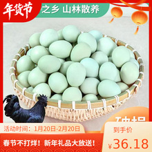 �r��G�����u����ɽɢ�B������r�F�l�ЋD���Ӟ��u����������