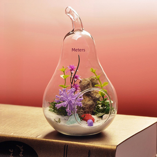 Factory Direct Sale Pear Apple Creative Transparent Glass Vase Home Decor Craft Ornament Micro Landscape