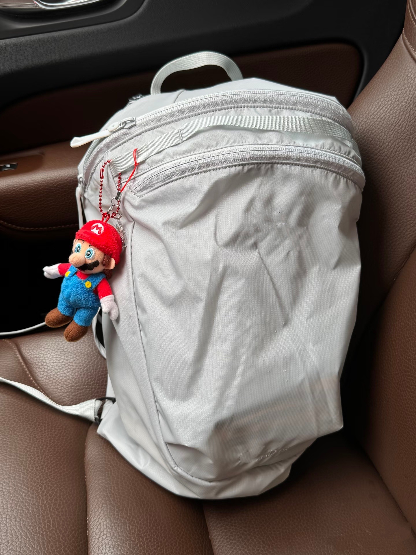 Marca de marea esqueleto de pollo 15L mochila de bordado impermeable, mochila deportiva ligera, bolsa de viaje al aire libre unisex