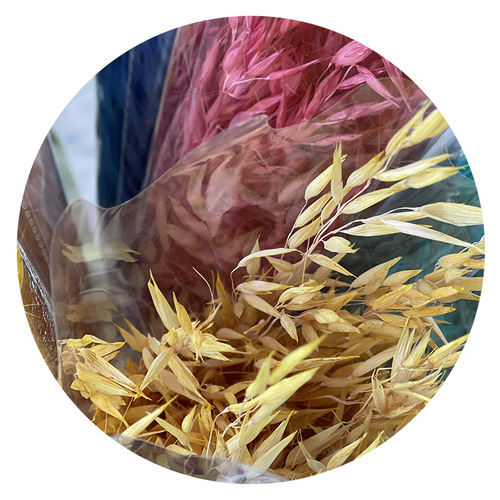 Oatmeal dried flower guest restaurant home decoration DIY material wholesale bouquet creative internet-famous photo prop preserved flower