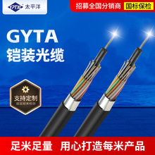������|GYTA-24B1о��ģ�ӽgʽ���ق�ݔȫ�Wͨ���ͼܿչ��w���|