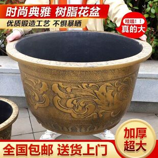 �ش�̖�����֬�Ӻ�����F������̨ͥԺ�N�仨���B�ɻ���
