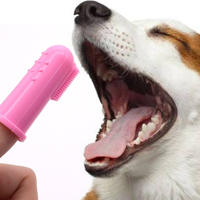 シリコンペット指サック歯ブラシ猫と犬の歯のクリーニング特別なブラシ指ブラシ歯の汚れを除去する犬の歯ブラシ|undefined