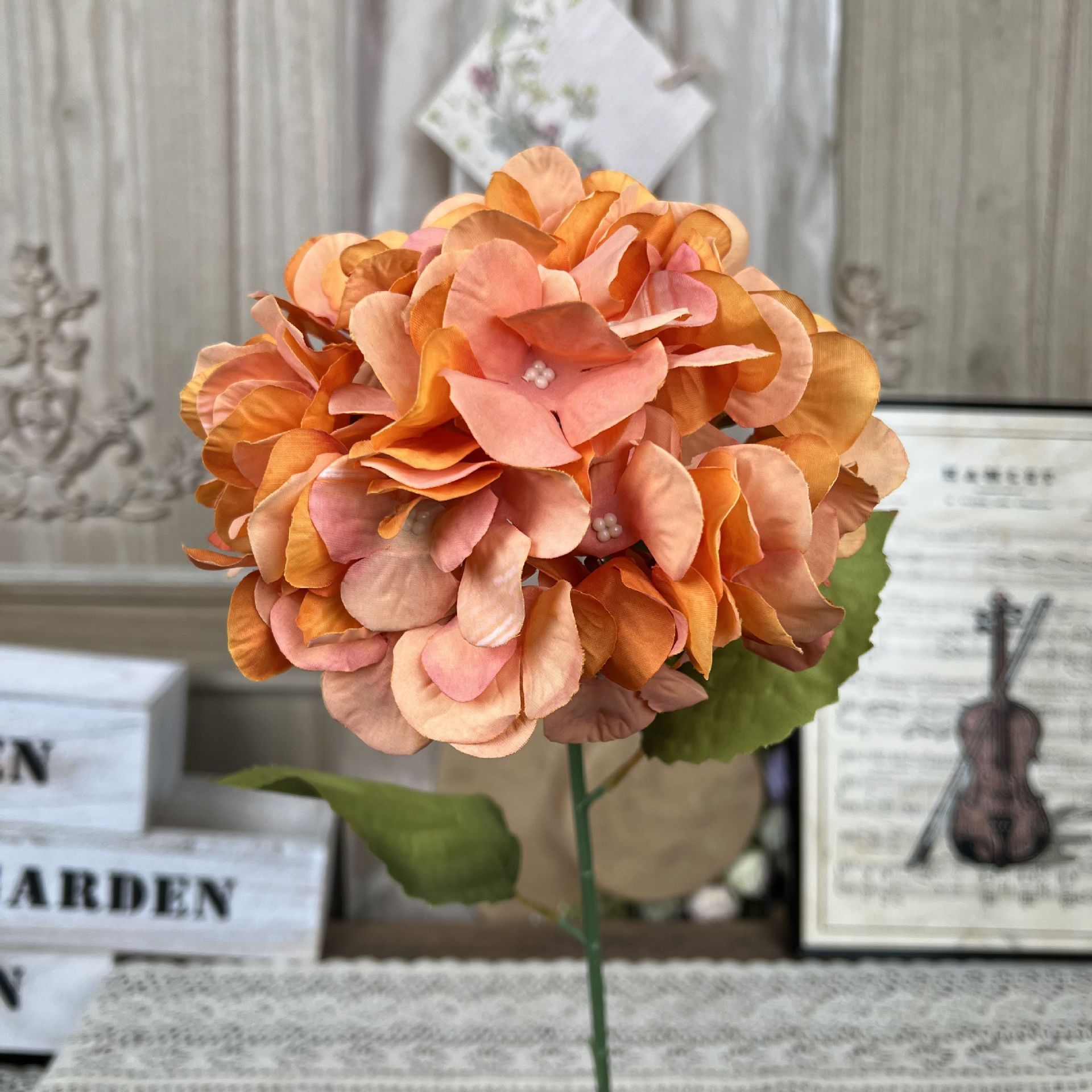 XQ-단일 코팅 수국-오렌지