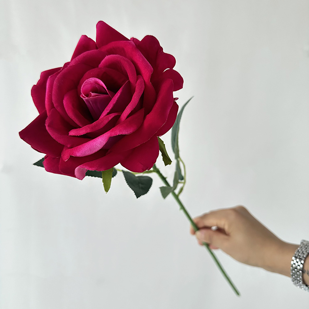 작은 단일 가지 리치 로즈 레드