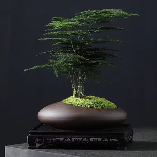 �������~����GֲС��������[����ɰ�辰�k���҃����՚⎧���Ժ�