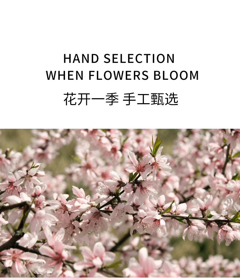 Xiaocheng Yixiang Chunri Cherry Blossom Women's Perfume, long-lasting light fragrance, Douyin Bestseller Magnolia Scent, Vietnamese perfume wholesale undefined