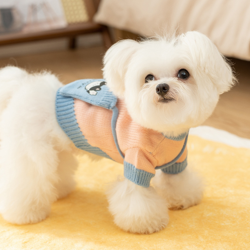 Otoño y invierno perros dos pies lindos bolsos de punto suéter gato mochila camiseta de punto Teddy Bear ropa de mascotas