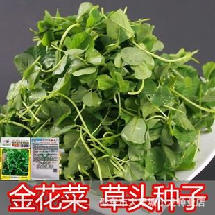 ���^�N�ӽ𻨲˷N���r���߲��ļ��ͺ��߲˷N�����~���^�𻨲˷N��