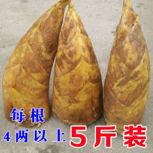 ���S�F����Së�S���S�|�S�����S�r�����r�羳���l