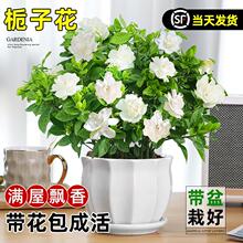 �d�ӻ����Ԏ���������ֲ���k���҃��̨���滨���ļ��_�����B�Gֲ