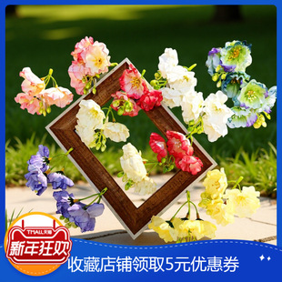 �S�ҏ͹����濾߅���� diy����С�������ٻ��^��h���ϸ߷���