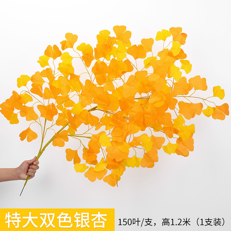 1 bi -color ginkgo leaves 1 branch