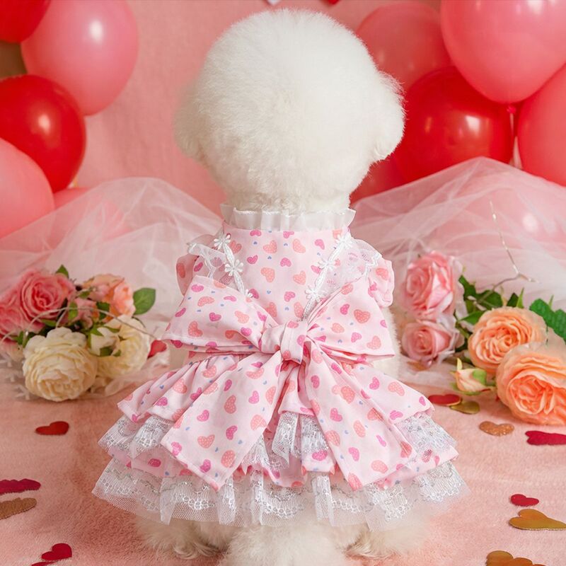 Pet Clothes, Dog and Cat Clothing, Spring and Summer Princess Dress, Cute Lace Bow Midsummer Floral Dress