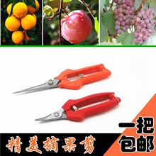 �߹������޹�ˮ���ɹ���֦������֦ժ��������ժ���������@ˇ����