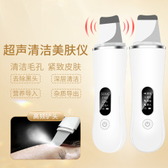 超音波にきびシャベル、にきび吸引ツール、美容器具、顔の毛穴洗浄シャベル、引き締め家庭用ニキビ