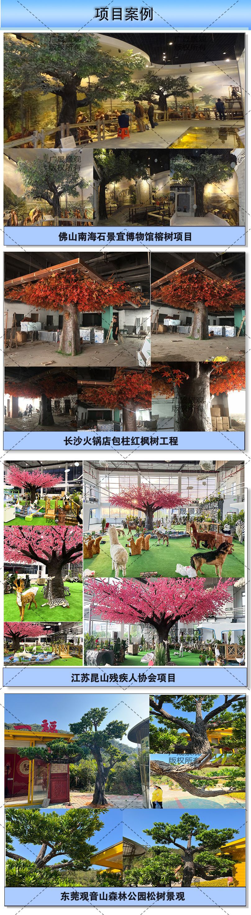 4 项目案例