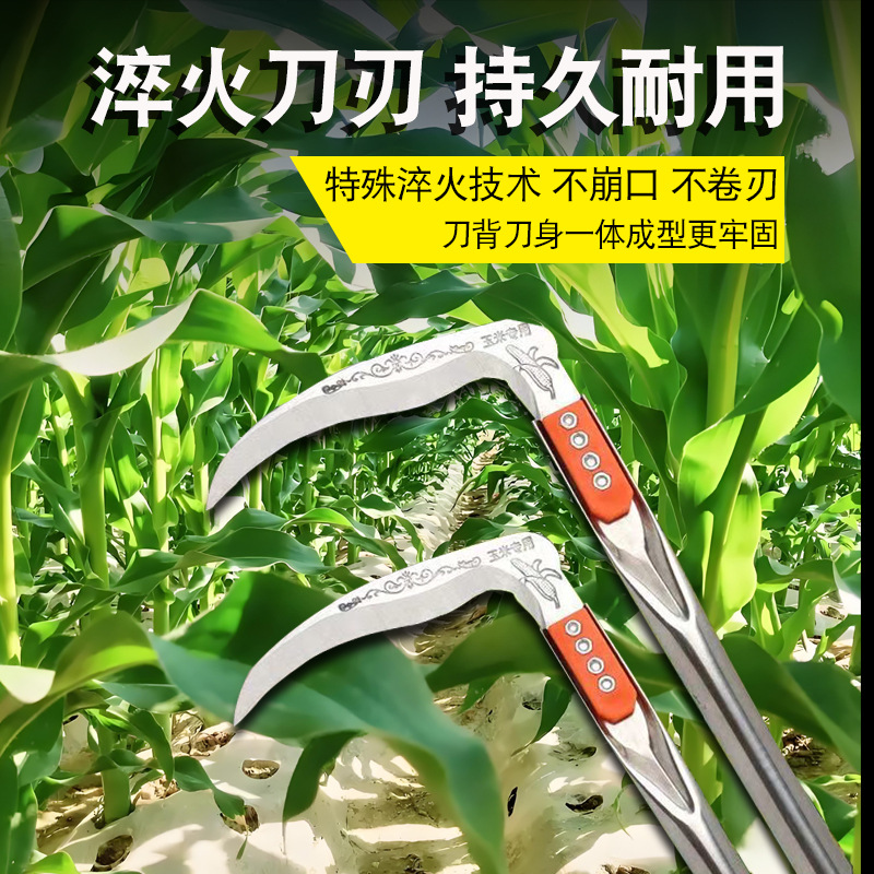 主图·5