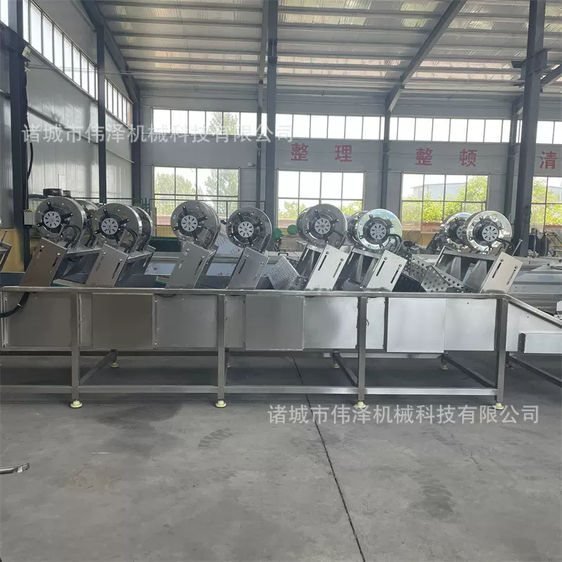 大蒜烘干机 带式独头蒜紫皮大蒜烘干设备 大型蒜头蒜片烘干流水线