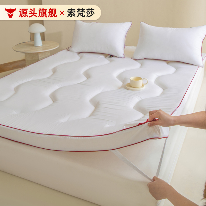 Class a Brushed Tatami Mattress Home Bedroom Foldableing Soft Cushion Student Dormitory Single Mat Thickeneded Mattress