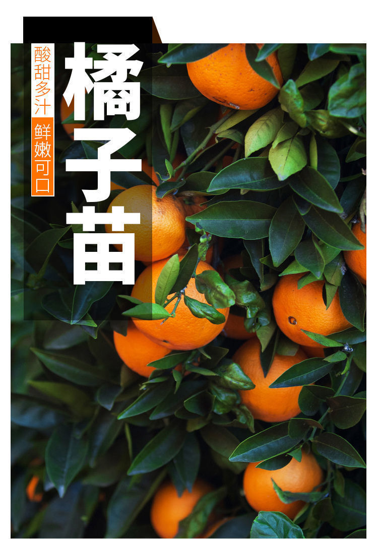 c3144dc1-c857-483b-b594-68995c