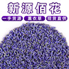 Xinjiang Yili Lavender Bulk New Stuff Lavender Drinking Flower Pillow Fragrant Somber Sleep Swelling Source Wholesale