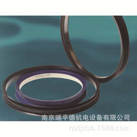 英国 James Walker 冶金工业 NTRMS 无扭曲杆磨密封装置