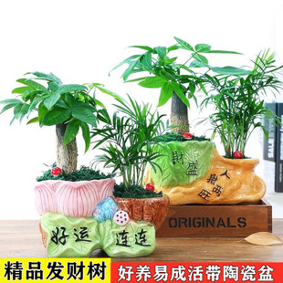 �lؔ�����ԾGֲ���ܸ��F��ɻ���ֲ�������k���҃�����ֲ����ֵ