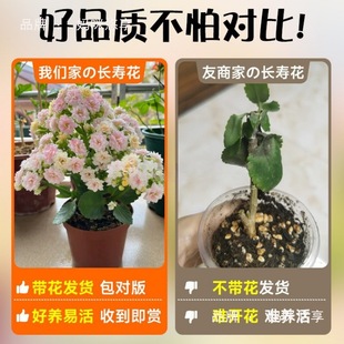 ���L�ۻ����Ԏ������ļ��_�ذ껨��׃ɫ�����F�ͺ����ܴ�ȫ