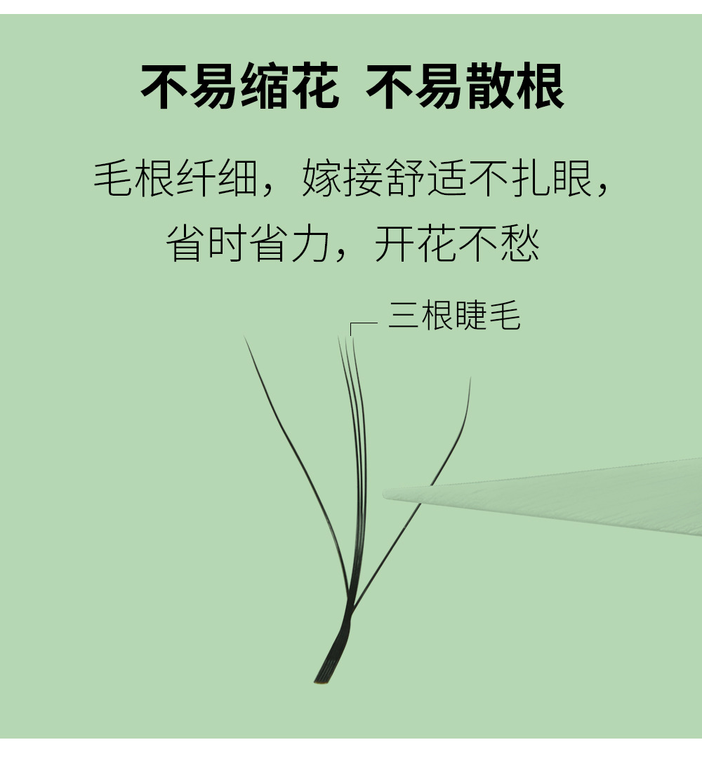 三叶草夹心睫毛 三叶草夹心睫毛