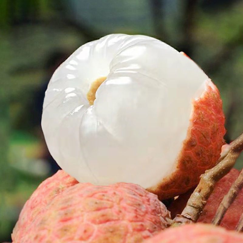 Litchi fresh Guiwei Litchi Season fruit Glutinous rice dumplings Sugar vase Feizixiao Seedless