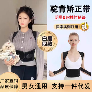 Bailu same style beibeijia humpback corrector men and women adult posture correction belt back stretch correction beauty back artifact