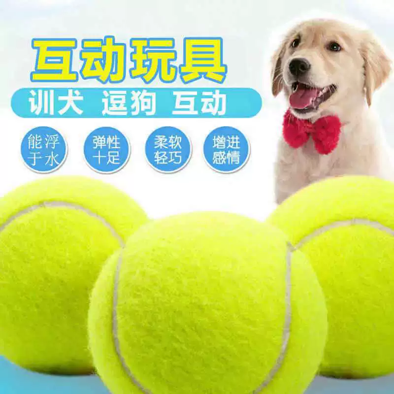 Toy, tennis rubber elastic mesh for training, can bite, pet