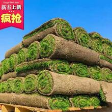 ��ƺ��ݎ�������Ƥ�e��ͥԺ���@�G�������ļ����ఫ�����޼�����