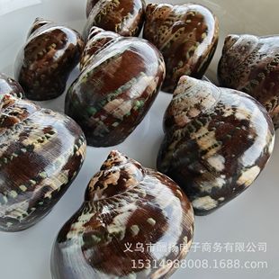 ������؈��ϔ�ݼľ�з�Q�� ��Ȼؐ�������~���쾰ؐ����ˇDIY����
