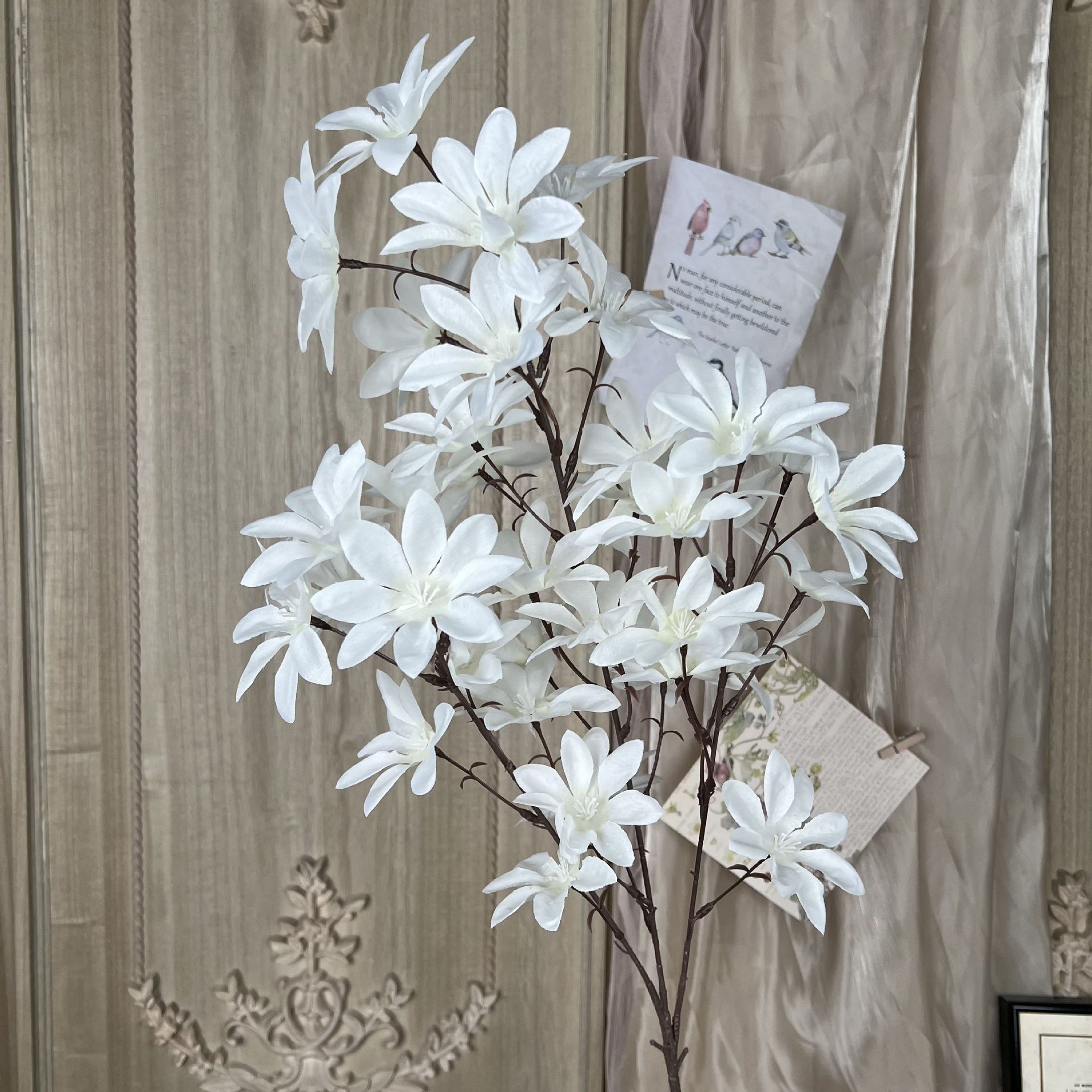 XQ-3 Orquídea da Amizade bifurcada-Branca