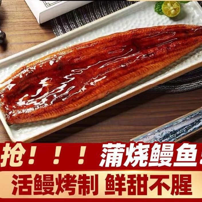 【Extra Large 500g Piece】Authentic Kabayaki Eel, Ready-To-Eat Fresh Popular Charcoal-Grilled Live Eel, Japanese Cuisine River Eel 【Extra Large 500g Piece】Authentic Kabayaki Eel, Ready-To-Eat Fresh Popular Charcoal-Grilled Live Eel, Japanese Cuisine River Eel