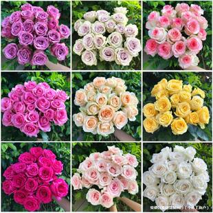 Fresh Flower Base Bouquet Yunnan Rose Gift Direct Delivery Perfume Lily Direct Batch Free Shipping Real Flower Sunflower Cut Flower