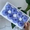4-5CM blue and purple box