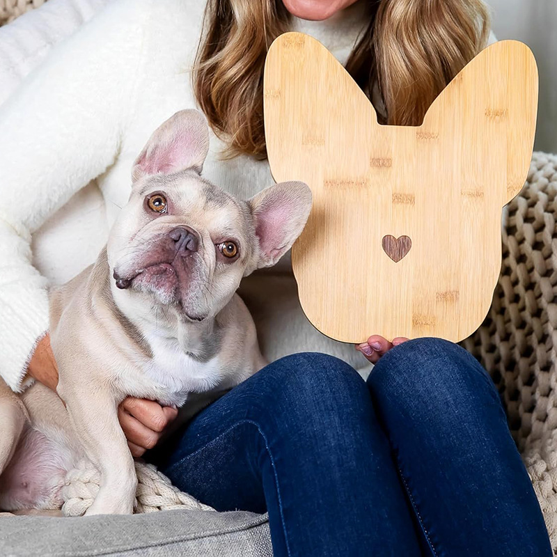 91aS5JnrqhL._AC_SL1500_