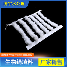 ��ˮ���������Ϻ�ʽ���������K�͒�Ĥ�ؚ�غӵ��qʽ�w�S