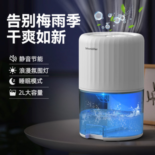 2025 New Model Dehumidifier for Home Use, Small Bedroom Dehumidifier for Damp Weather, Semiconductor Silent Dehumidifier and Moisture Absorber