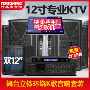 Temeisheng Home Ktv Audio Set Bar Theater Conference Performance Karaoke Song Amplifier Karaoke Speaker